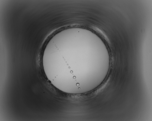 X0000100390875200806060831