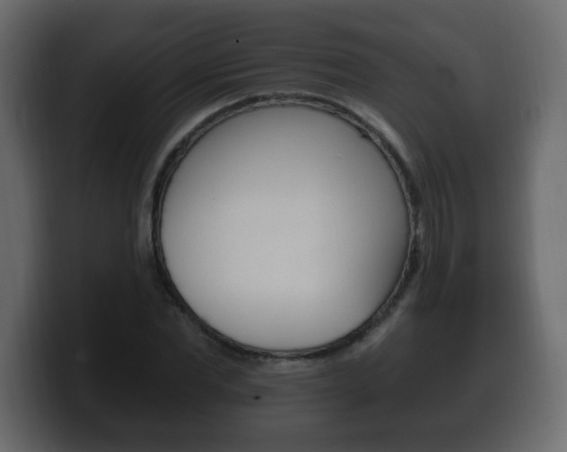X0000100390877200806060831