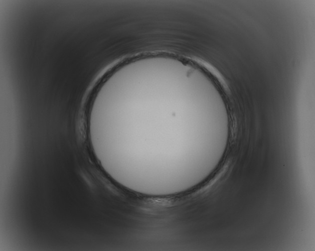 X0000100390878200806060831