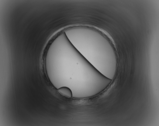 X0000100390879200806060831