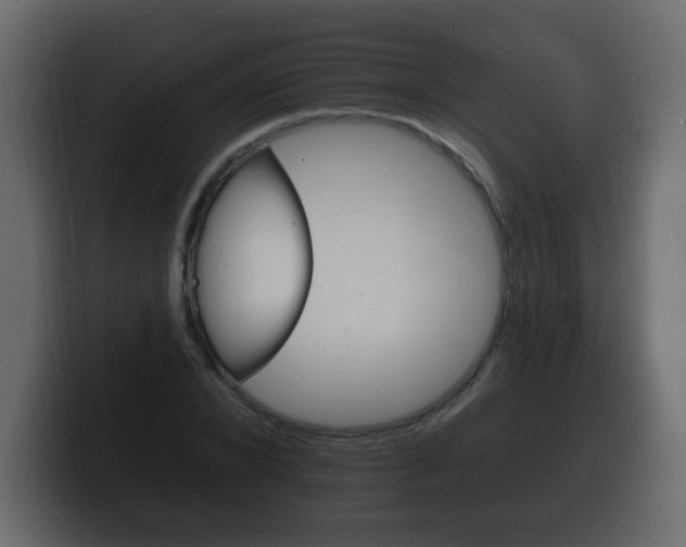X0000100390880200806060831