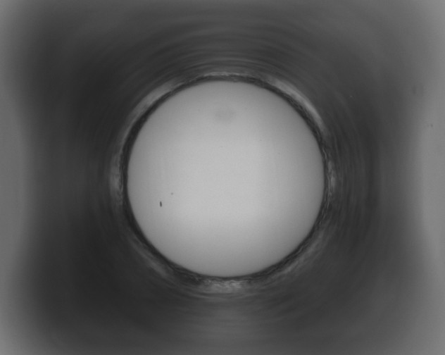 X0000100390882200806060831