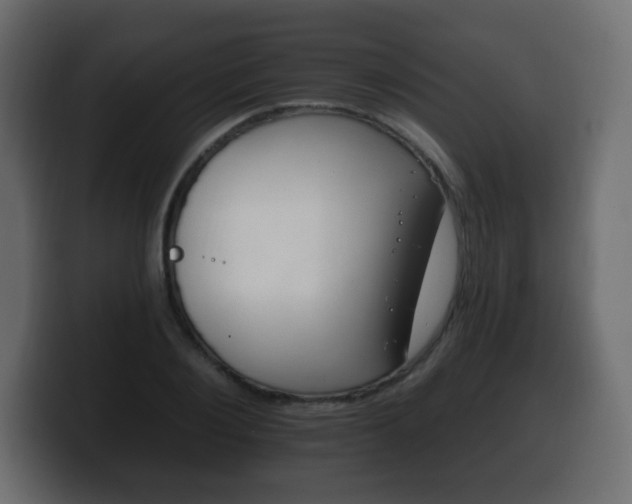 X0000100390884200806060831
