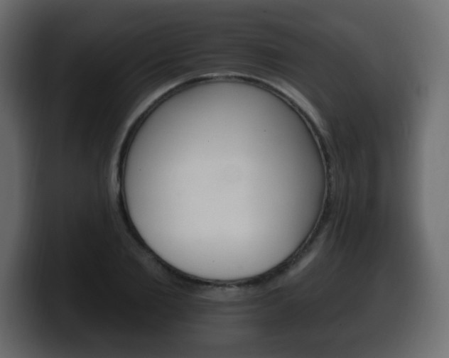X0000100390885200806060831