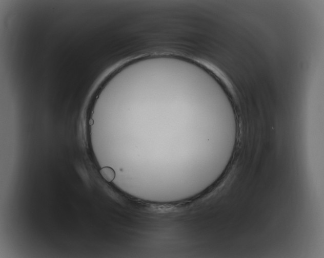X0000100390886200806060831