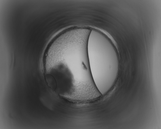 X0000100390887200806060831