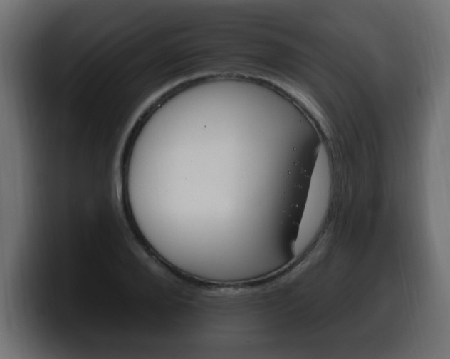X0000100390888200806060831