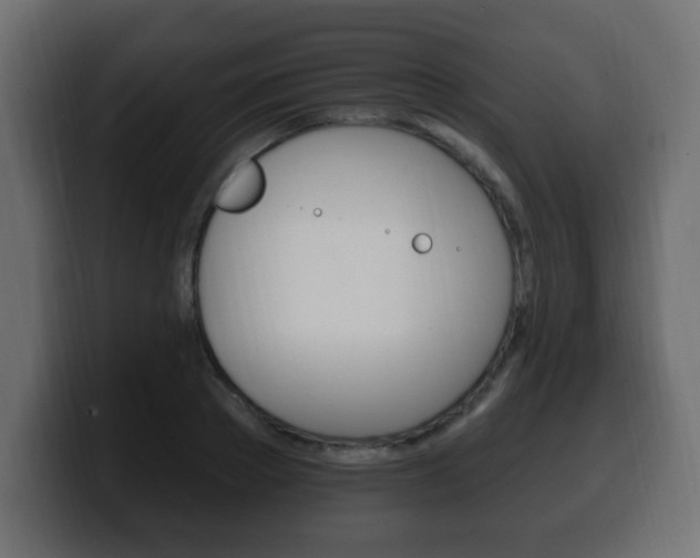 X0000100390889200806060831