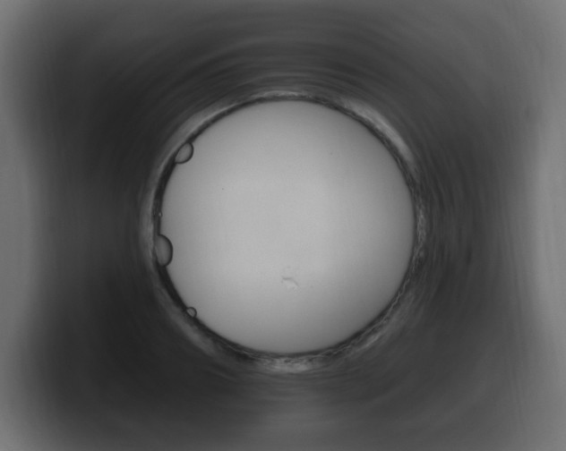 X0000100390890200806060831