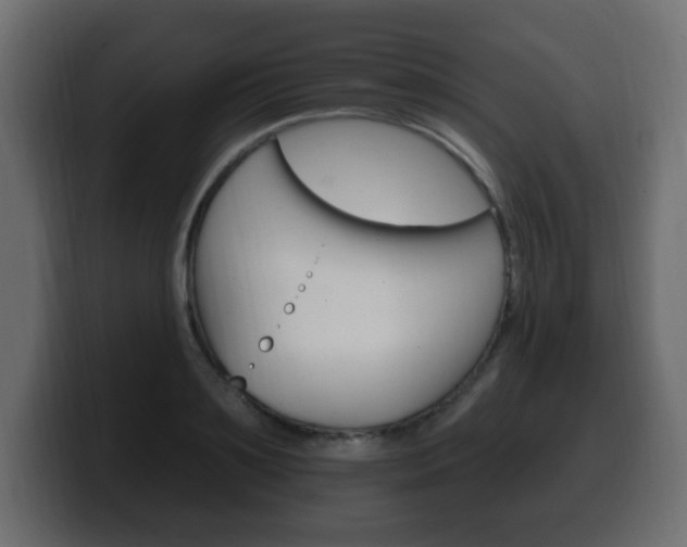 X0000100390891200806060831