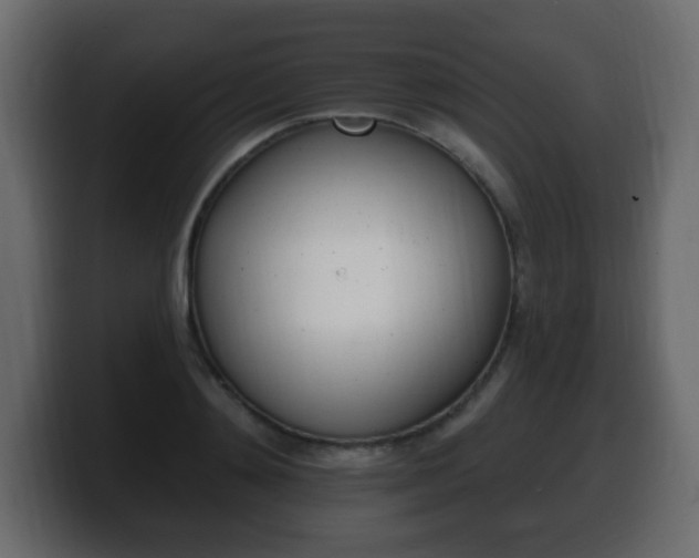 X0000100390892200806060831