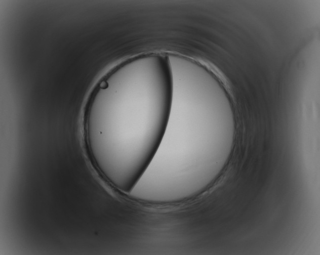 X0000100390894200806060831