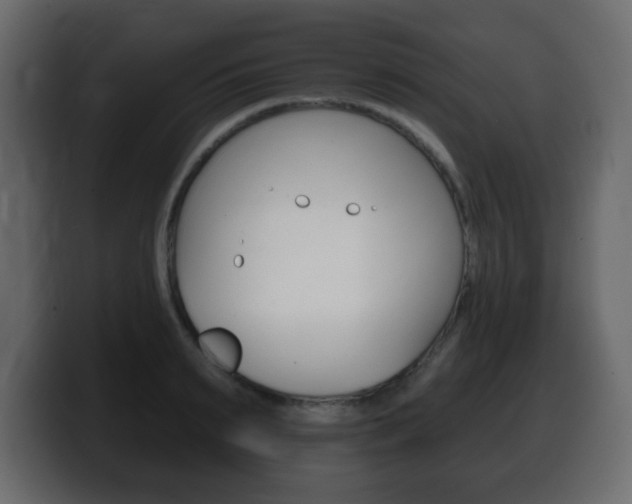 X0000100390895200806060831