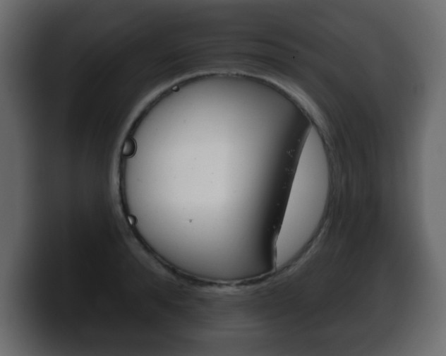 X0000100390896200806060831