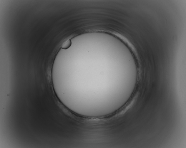 X0000100390897200806060831