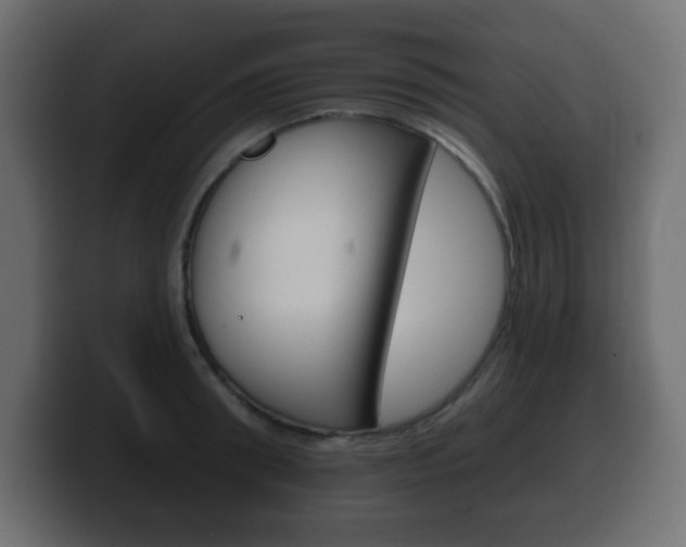 X0000100390898200806060831