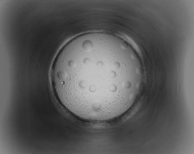 X0000100390899200806060831