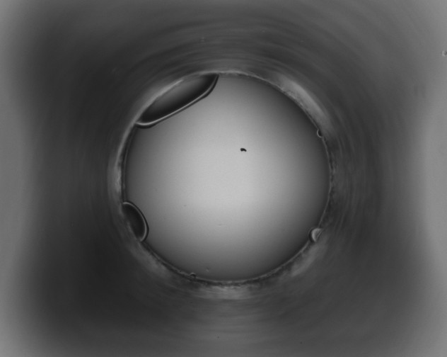 X0000100390900200806060831
