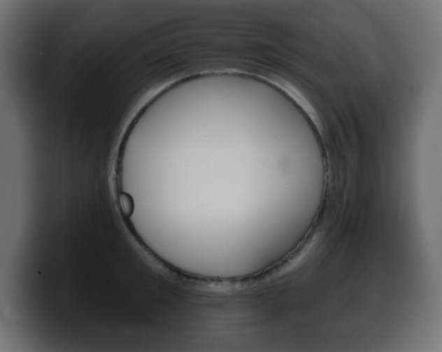 X0000100390901200806060831