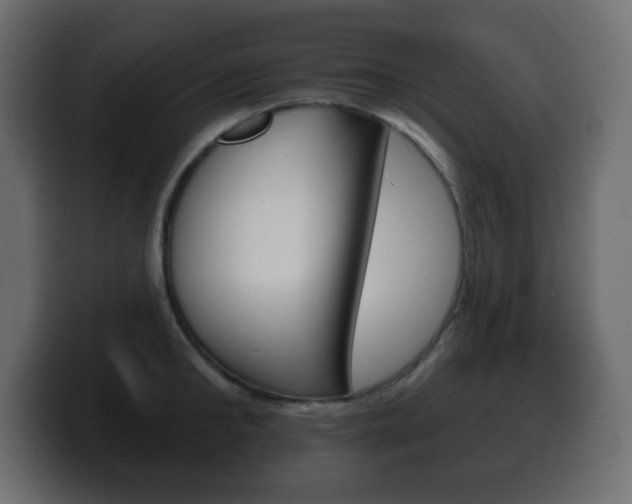 X0000100390902200806060831