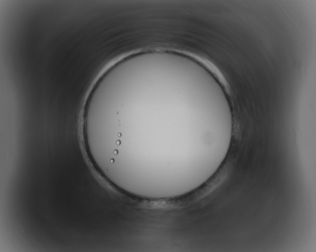 X0000100390903200806060831