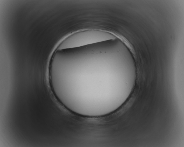 X0000100390904200806060831