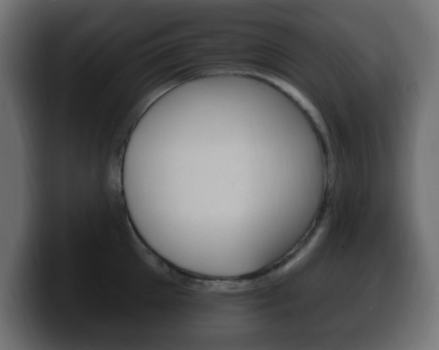 X0000100390905200806060831