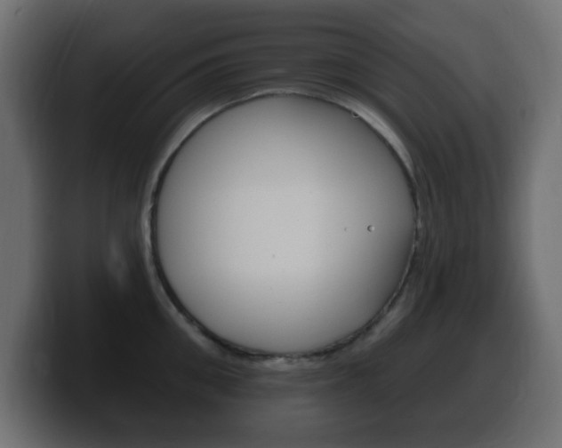 X0000100390906200806060831