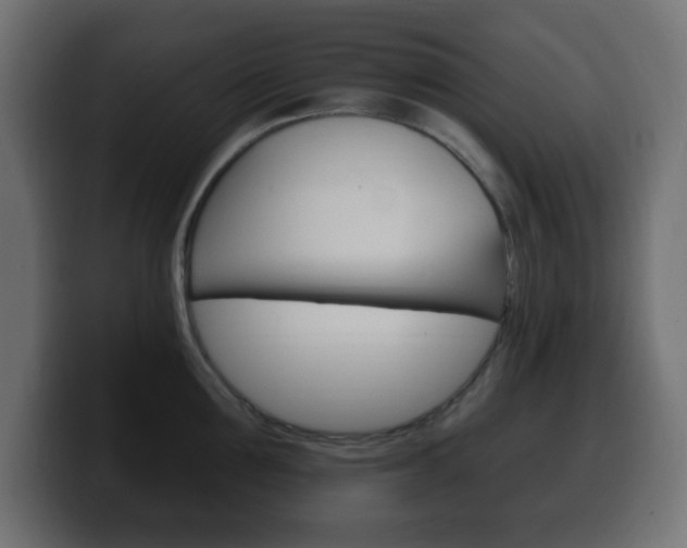 X0000100390907200806060831