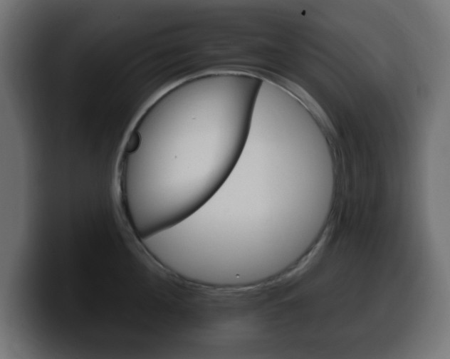 X0000100390908200806060831