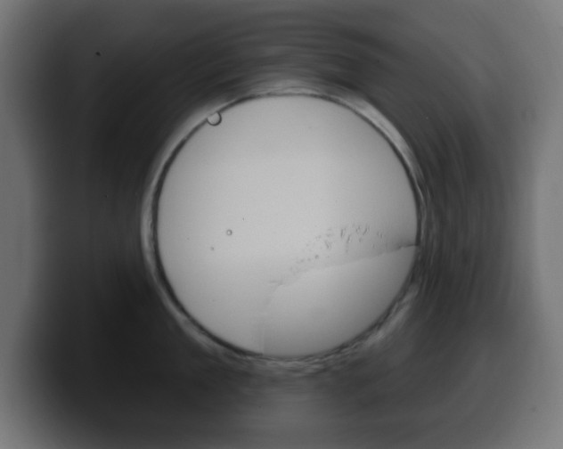 X0000100390909200806060831