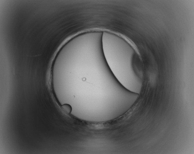 X0000100390911200806060831