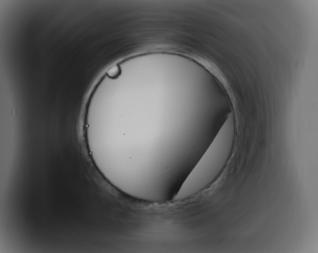X0000100390912200806060831