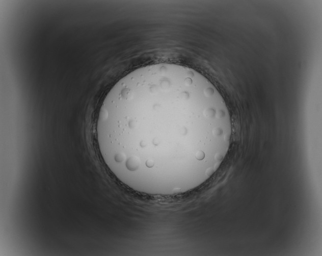 X0000100390913200806060830