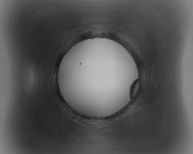 X0000100390914200806060830