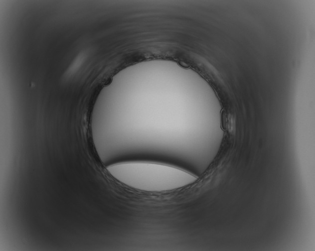 X0000100390915200806060830