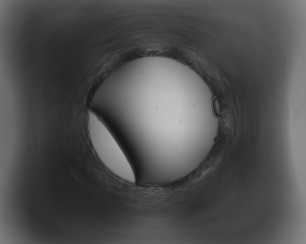 X0000100390916200806060830