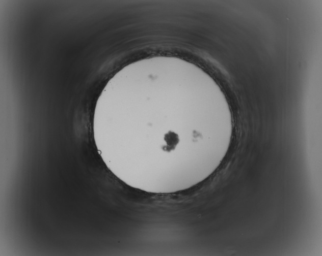X0000100390918200806060830