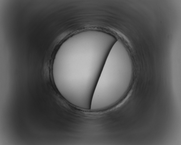 X0000100390921200806060830