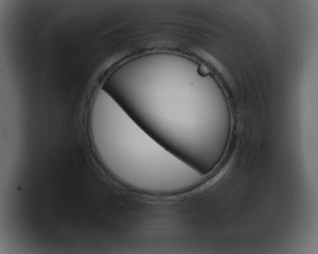 X0000100390922200806060830