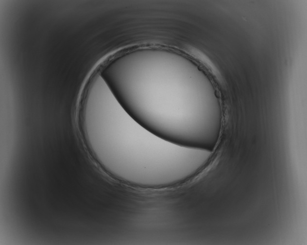 X0000100390924200806060830