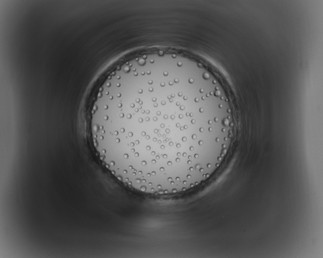 X0000100390925200806060830