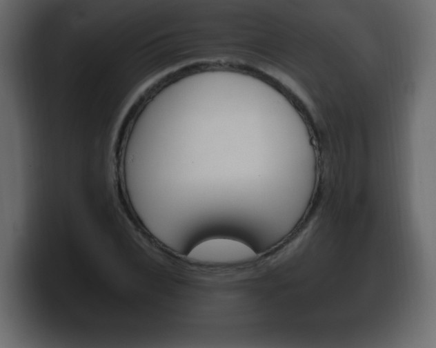 X0000100390927200806060830