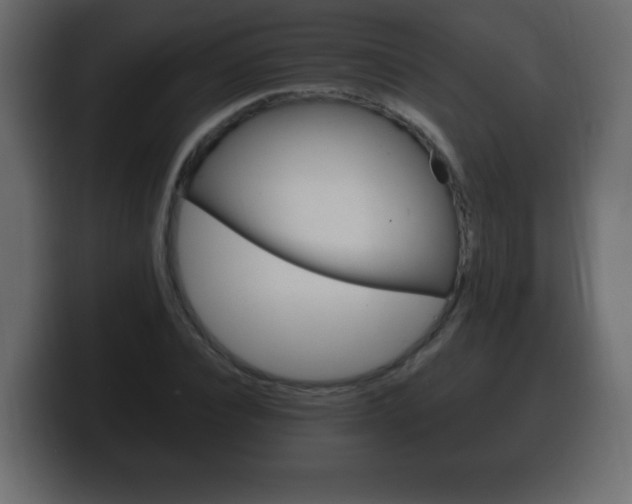 X0000100390928200806060830