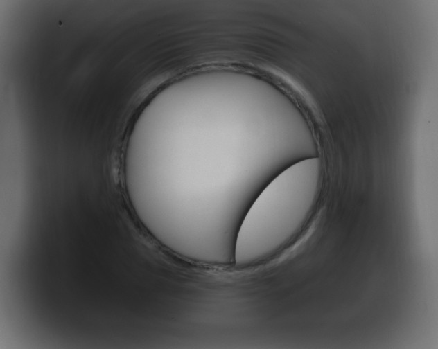 X0000100390929200806060830