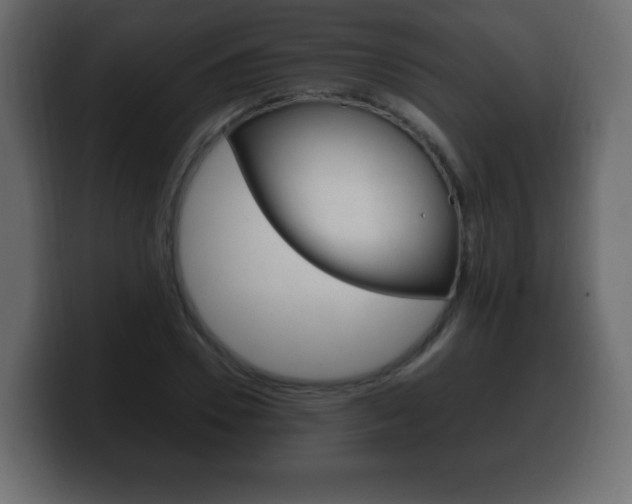 X0000100390930200806060830