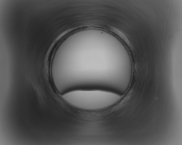 X0000100390931200806060830