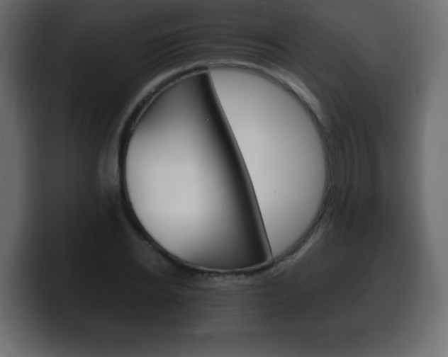 X0000100390934200806060830