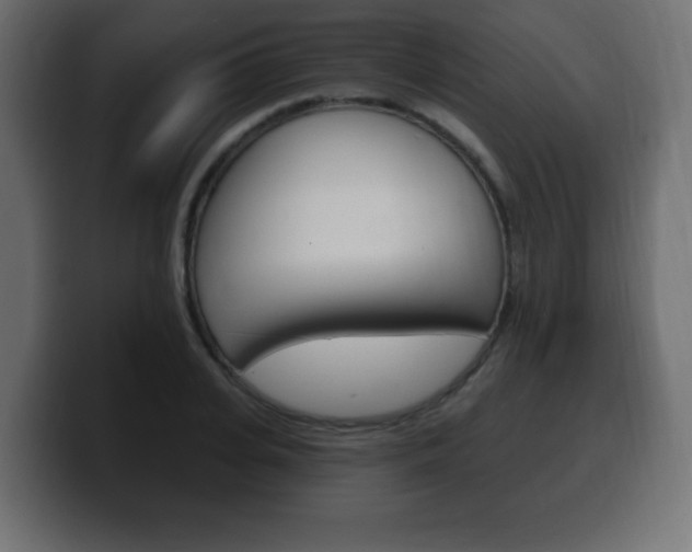 X0000100390935200806060830
