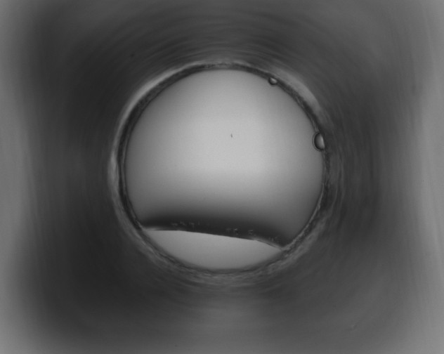 X0000100390936200806060830